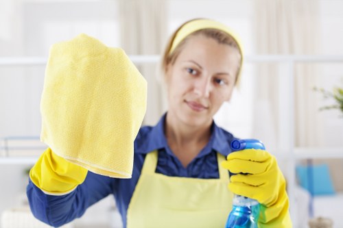 Deep cleaning service for a SW10 home interior