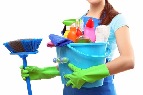 Mattress cleaning equipment used in an SW10 property