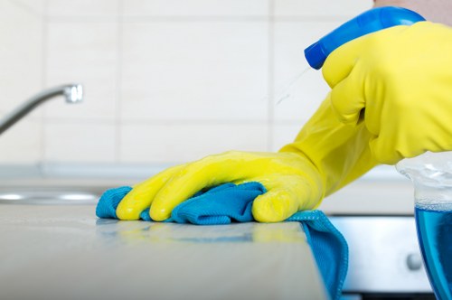 Professional kitchen and bathroom domestic cleaning in a SW10 apartment