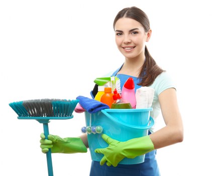 Deep cleaning treatment for pet odour in a Chelsea flat